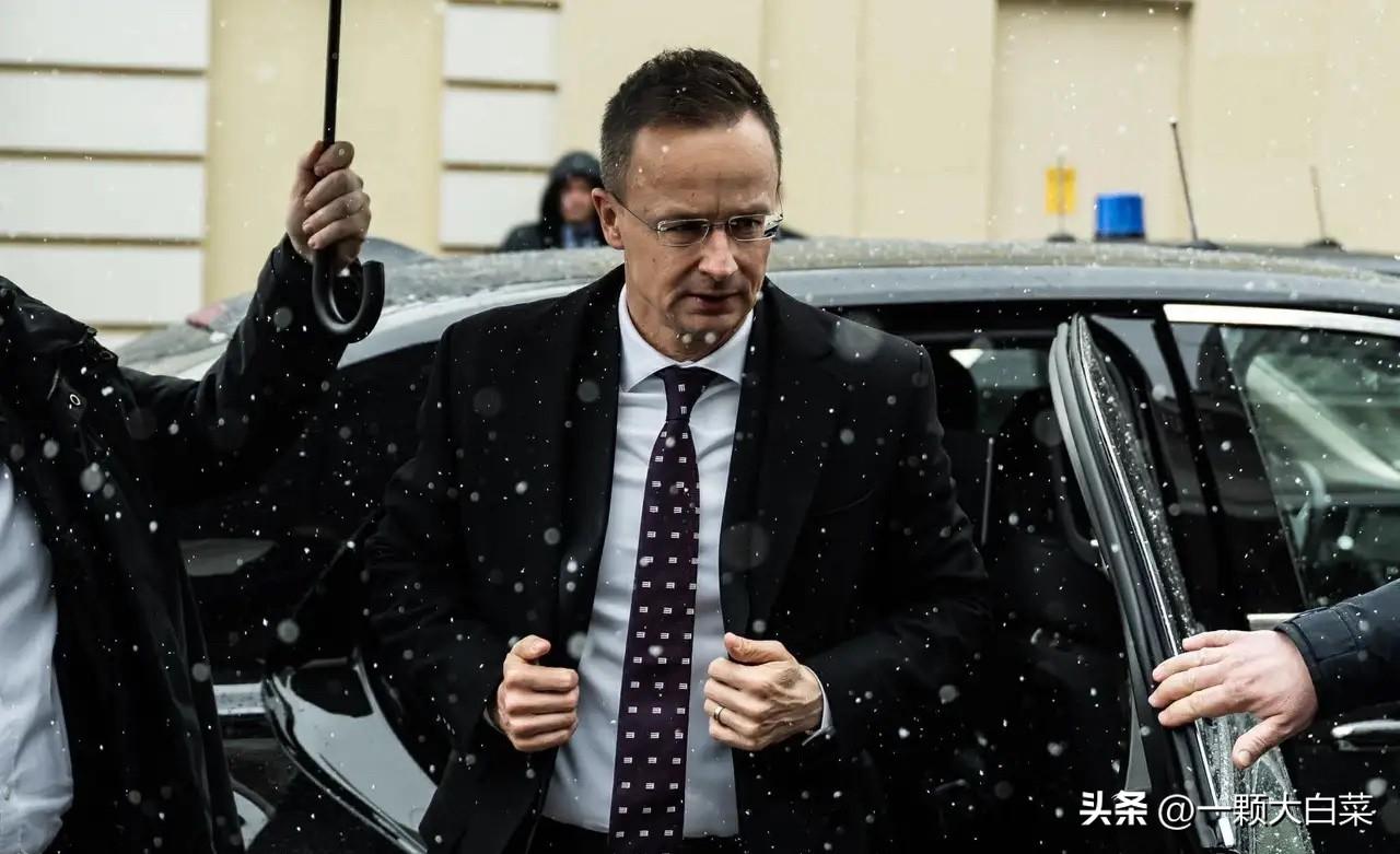 匈牙利公开喊话中国

当地时间27日，匈牙利外长西雅尔多公开表示：中国已经连续3