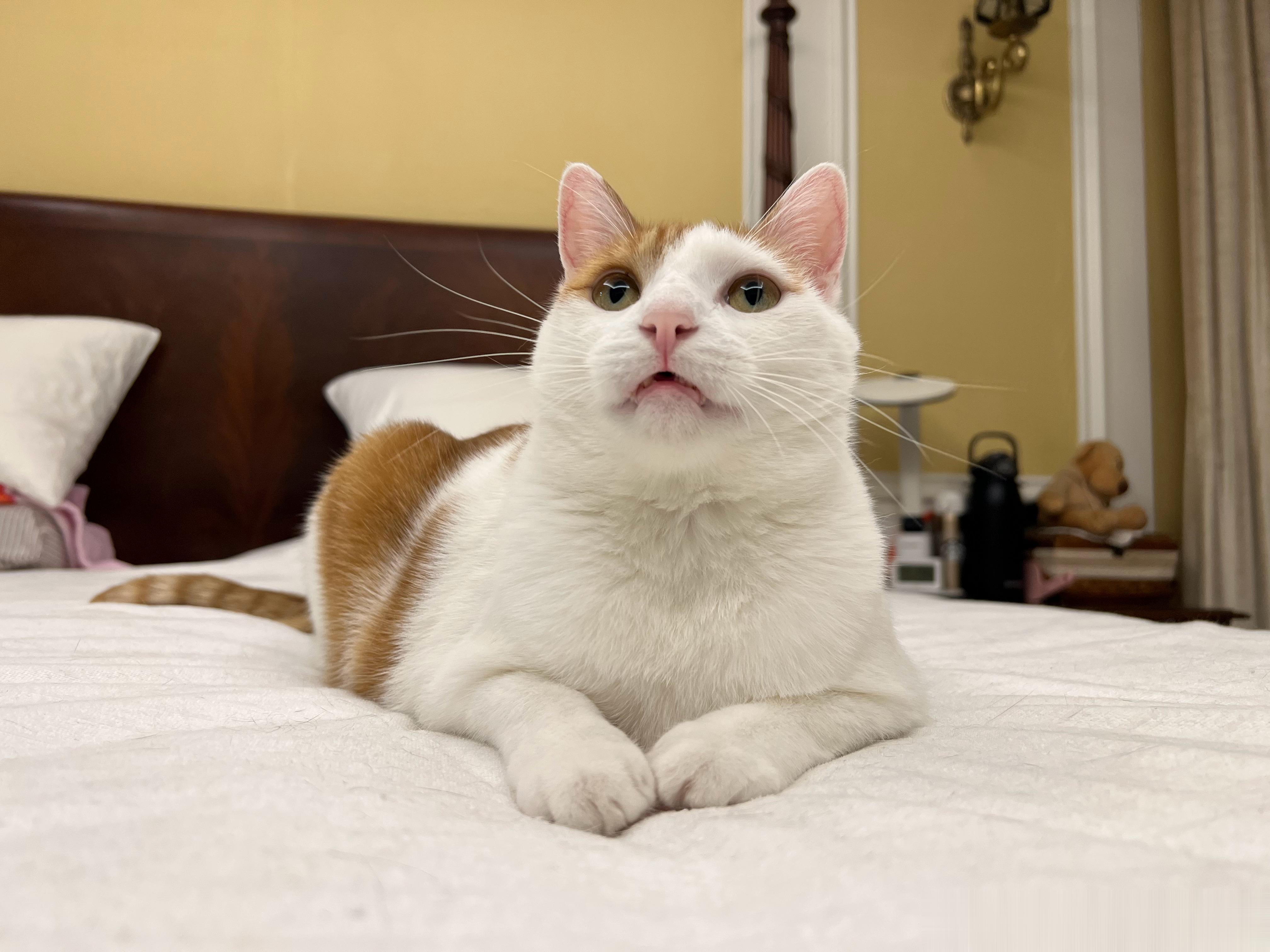 哎呦喂～今天的猴猴是有点好看的[舔屏] ​​​