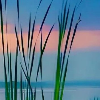 正能量用心做事，首先要专注于事上，集中精力，摒弃杂念，做到心无旁骛；其次要坚持不