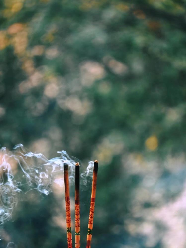 人生最亏本的买卖，是用今天的安宁，去兑换明天的幻影。心若被虚构的忧虑占据，此刻便