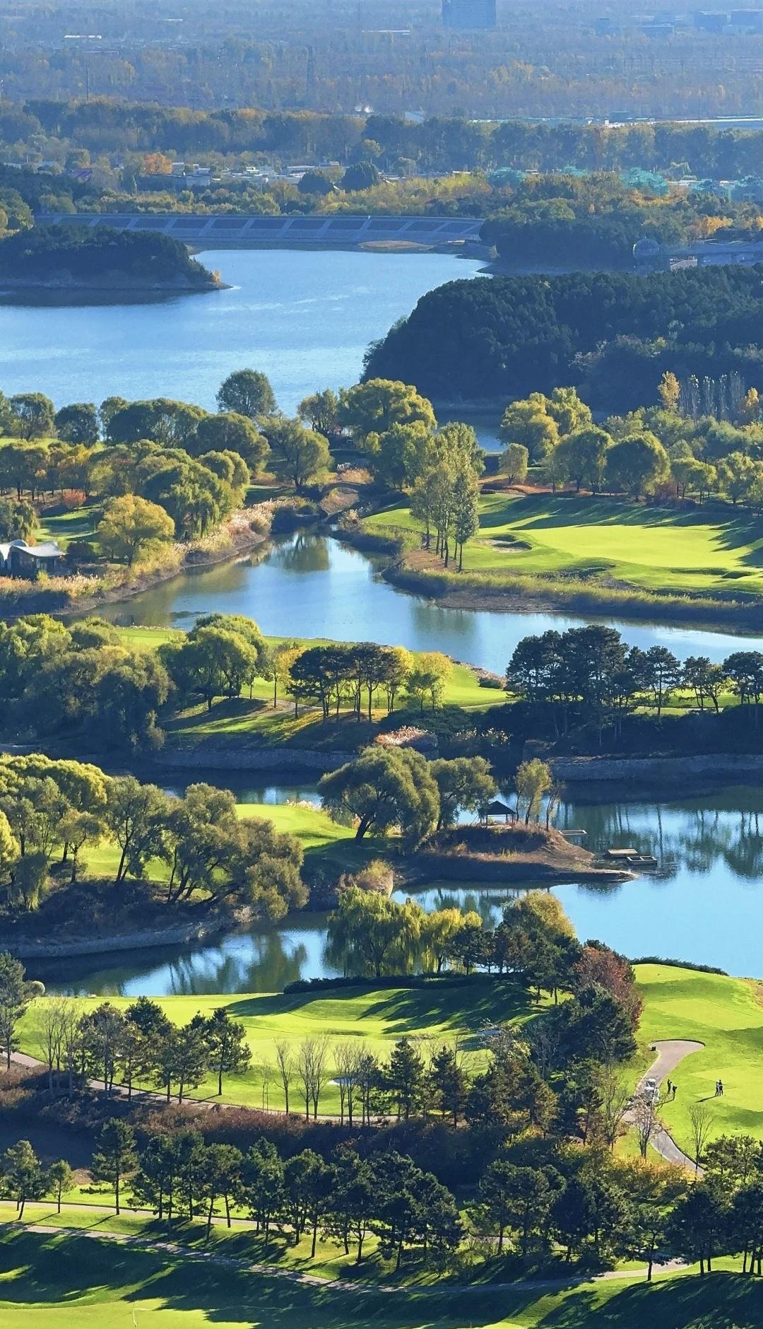11月2日早8点西山步道 雁栖湖秋色美不胜收
深邃且美，吸氧遛腿。看京郊赏秋各种