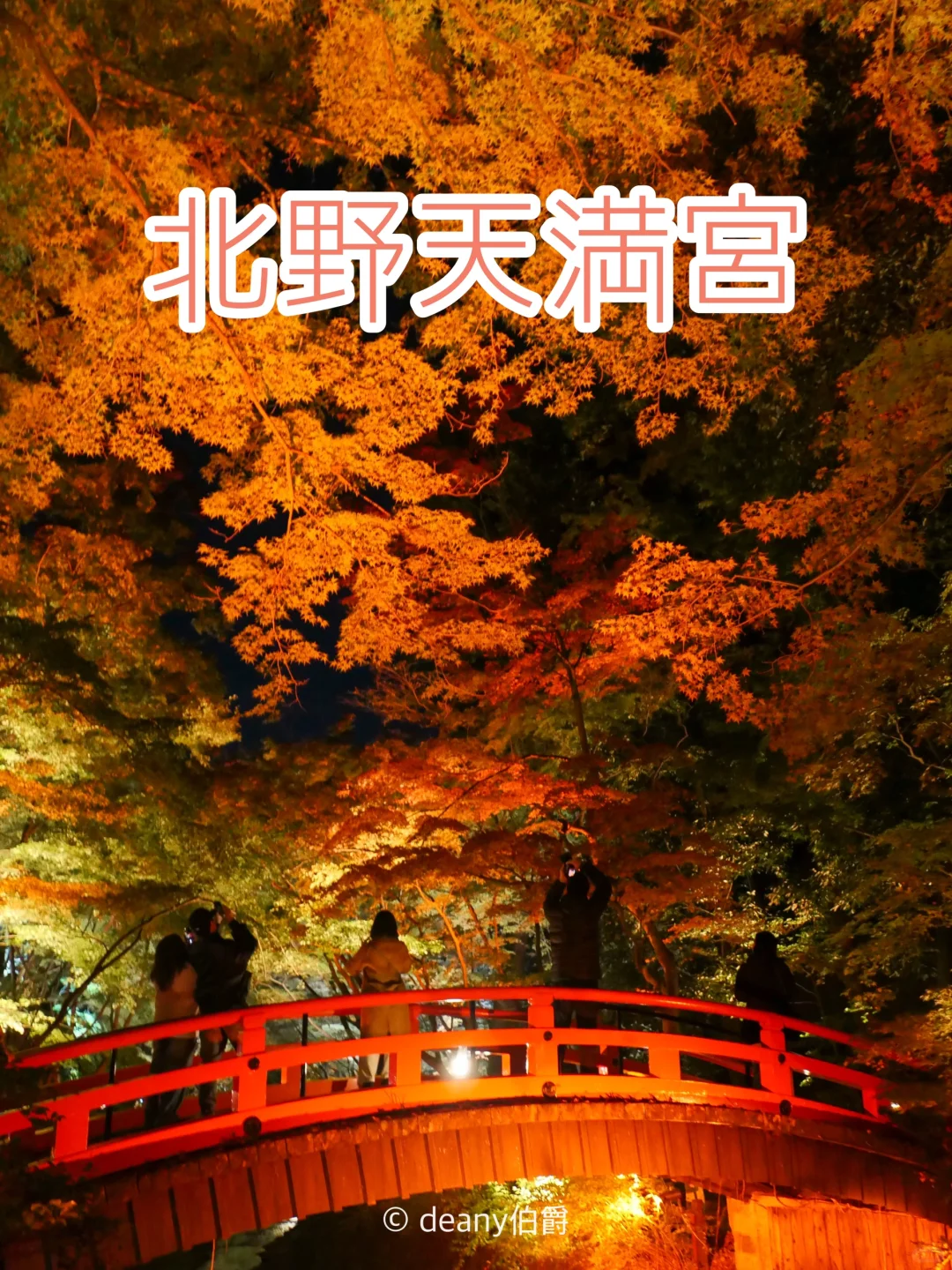 今日实时 | 京都夜枫 🍁北野天满宫