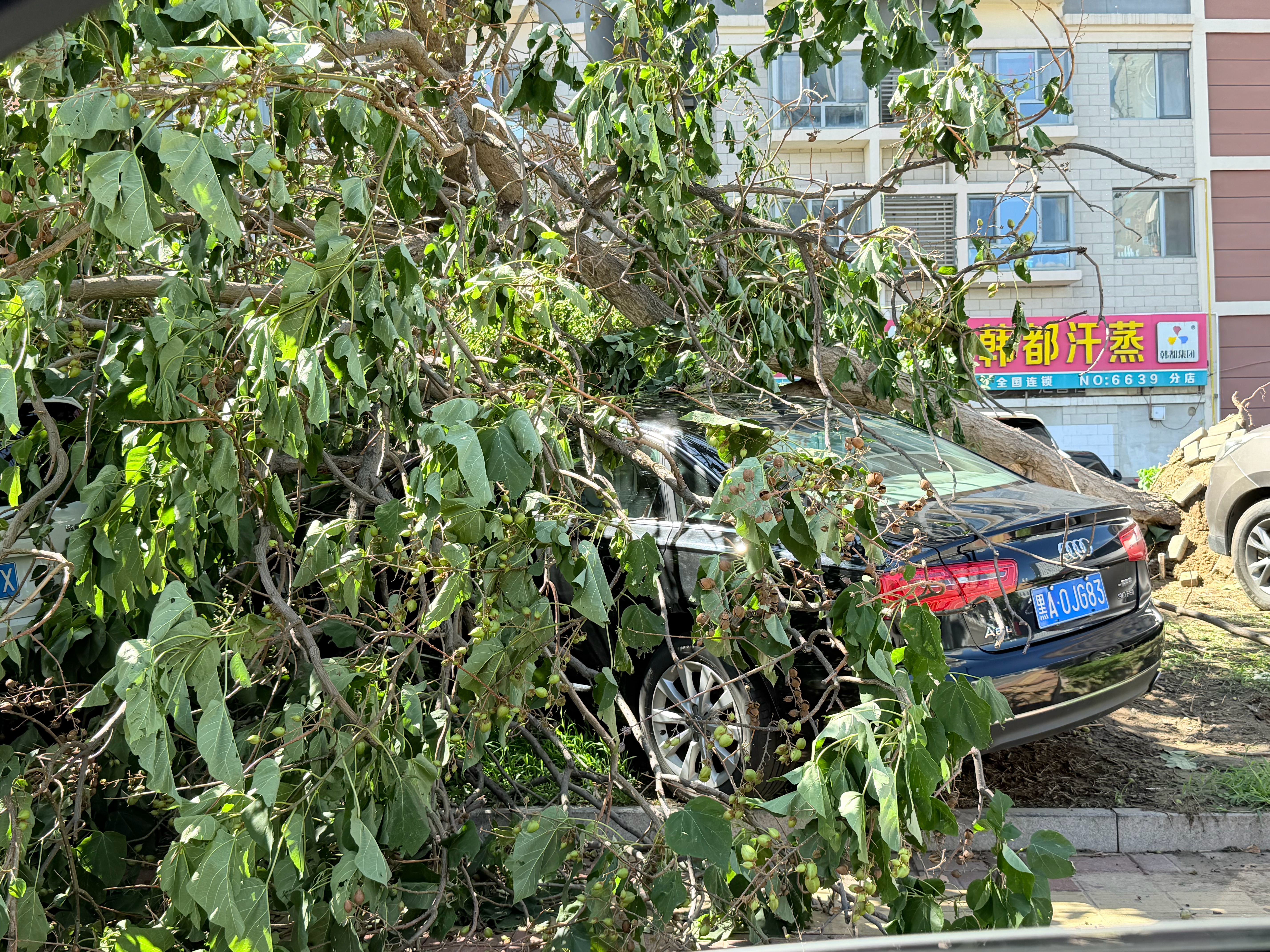 卧槽一早上起来楼下小区路边的场景还好我是地下车位～台风美莎克将带来特大暴雨