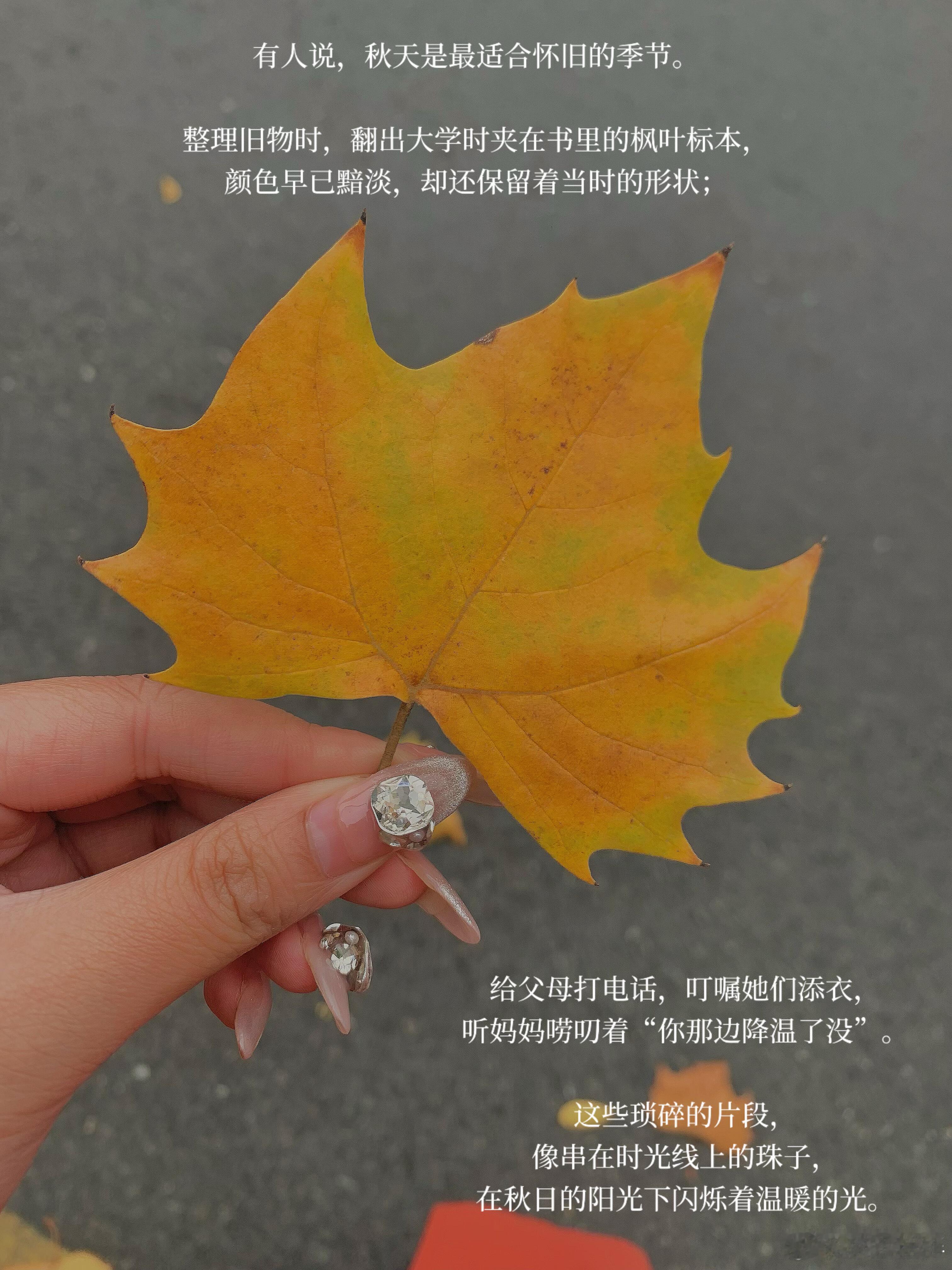 秋天是一个有安全感的季节“在秋天总是比平常更容易感知幸福” ​​​