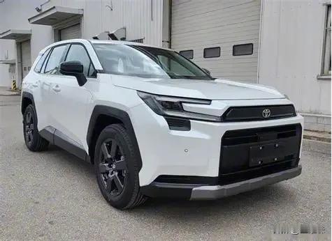 南非拟大幅加征中印汽车关税 本土产业遇进口冲击谋自救
 
南非正酝酿针对中国和印