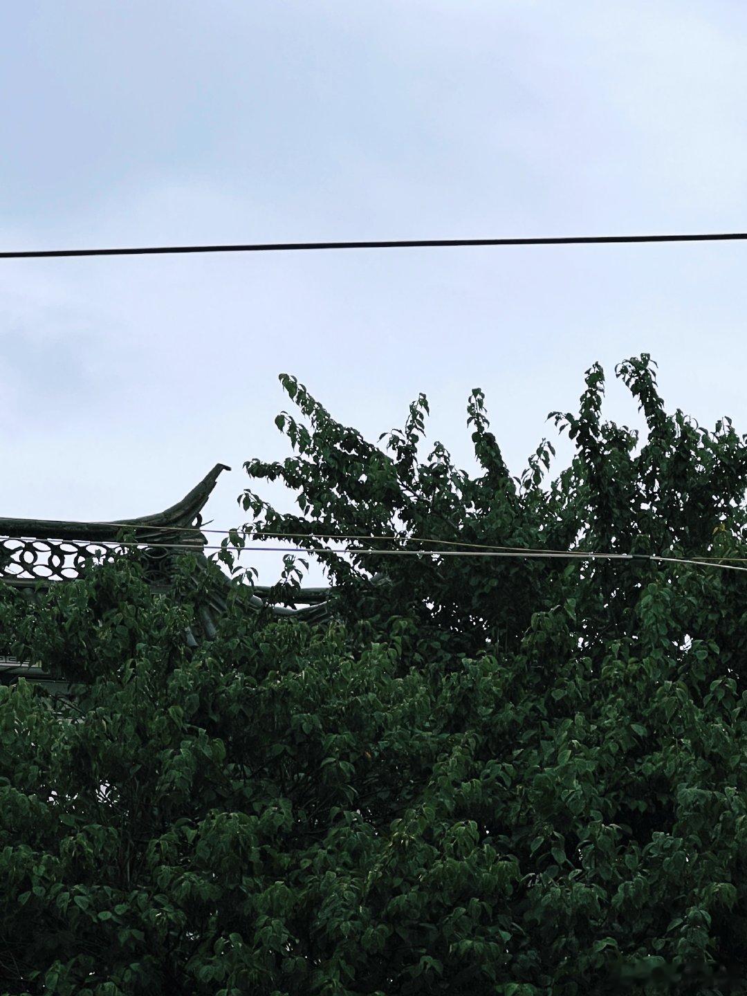 此时此刻 20260729。周三。六月十六。古城赶集日一夜大雨天空依然阴湿冒个泡