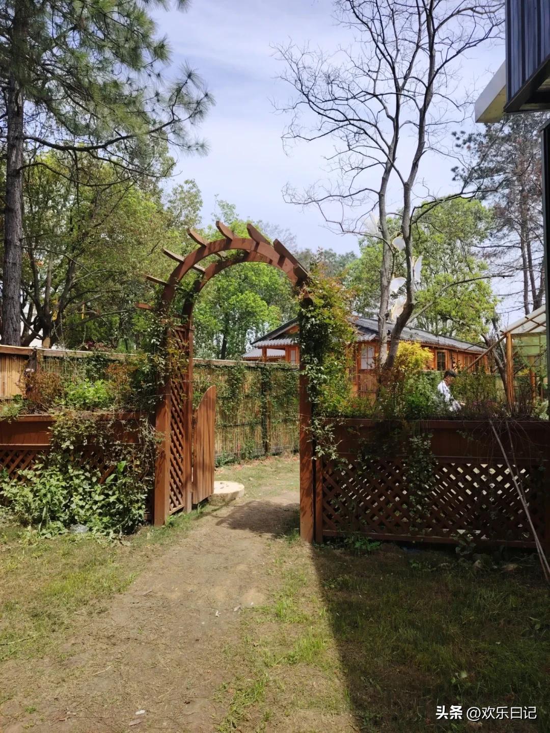 我发现，写头条真是个玄学。

认认真真查资料、列提纲、改了好几遍，发出去，没人看