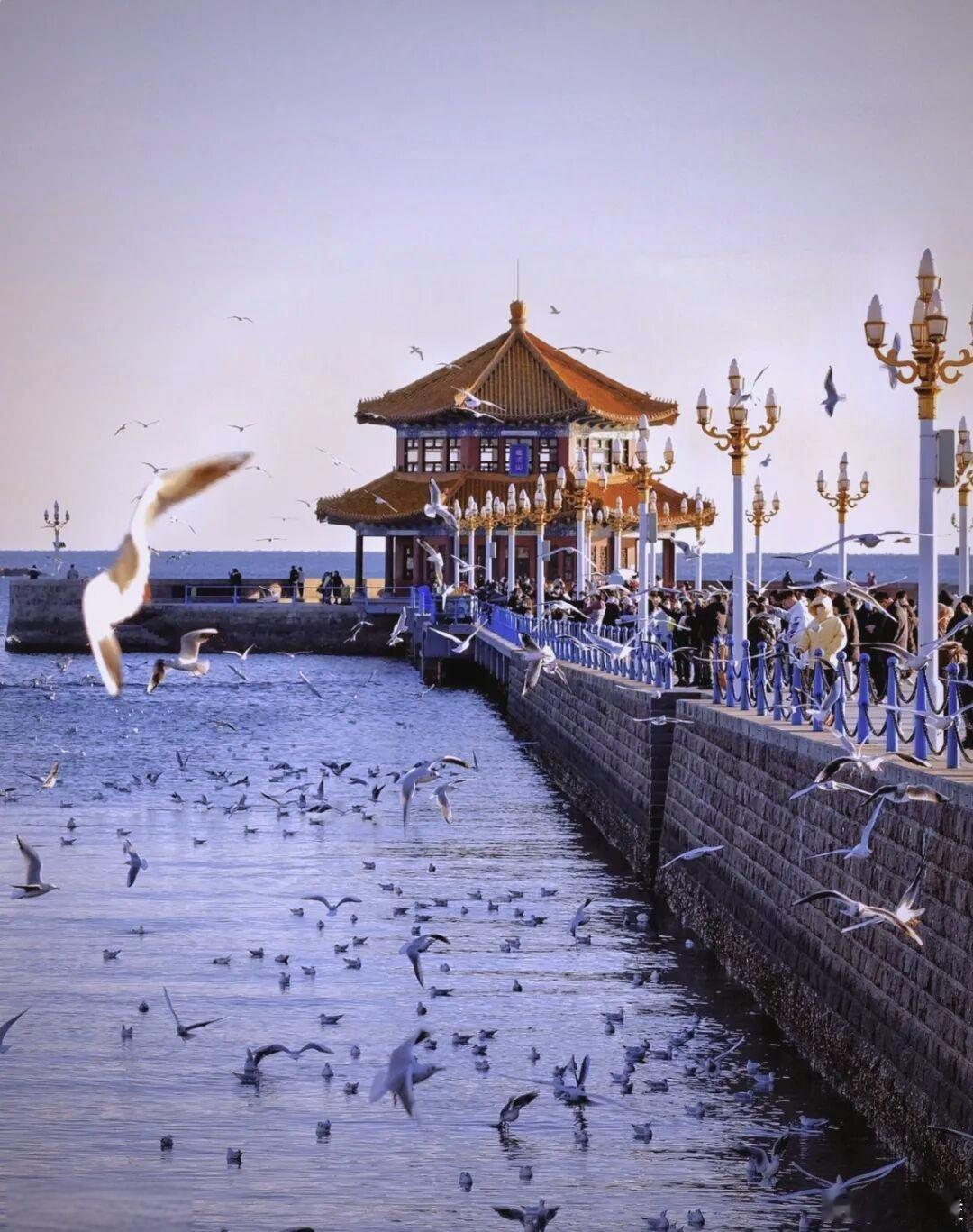 世界为你倾倒  别错过冬日青岛！礁石被海风吻出纹路，老城区的烟火气混着海味，漫步