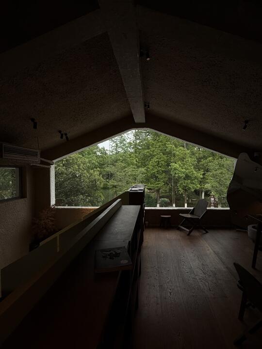 一人独享森林屋🛖喜木需要巨大能量场🌳