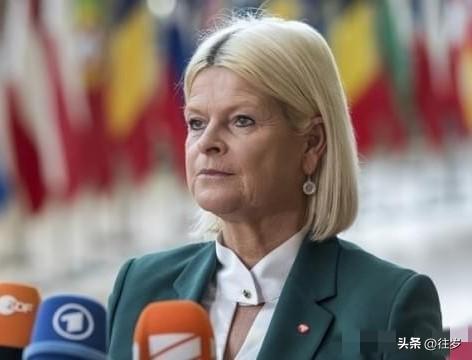 奥地利传来消息
4月2日，奥地利国防部突然宣布：拒绝美国“多次”提出的使用其领空