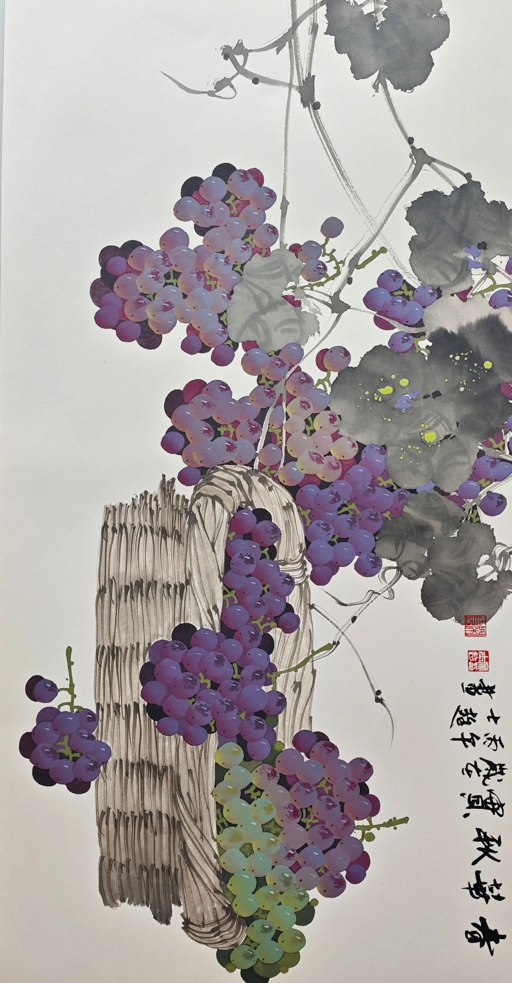 挂霜葡萄。