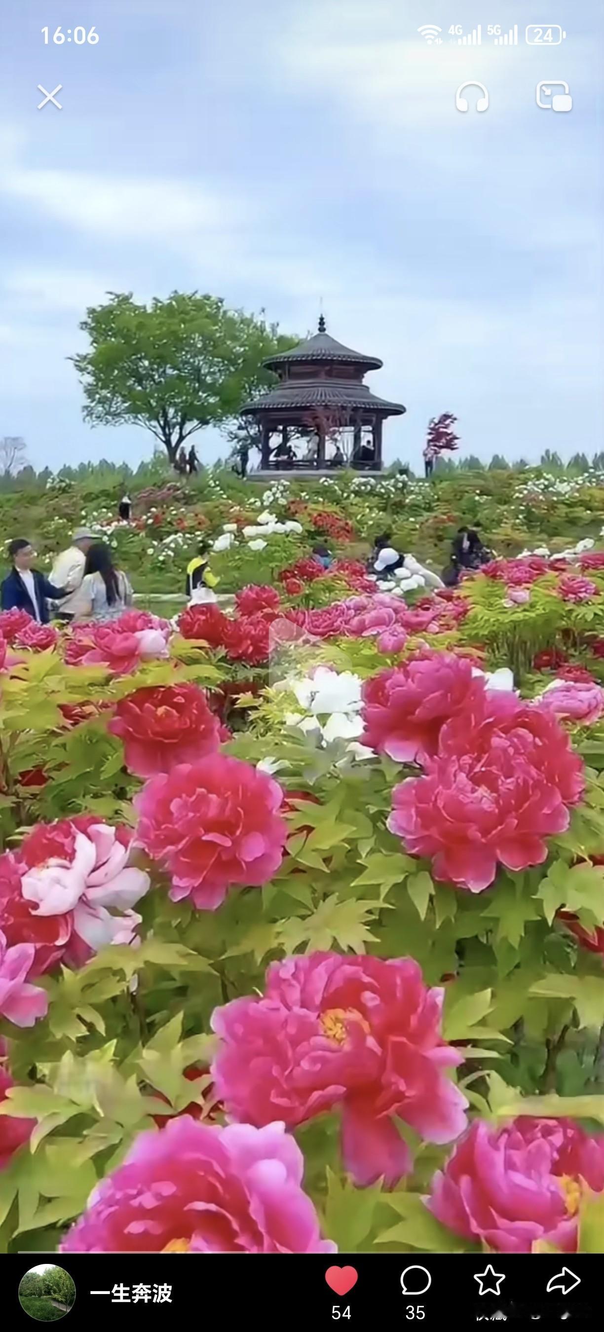 夏日爱好打卡夏日的花草树木，景美花艳，乌语花香，惹人淘碎。