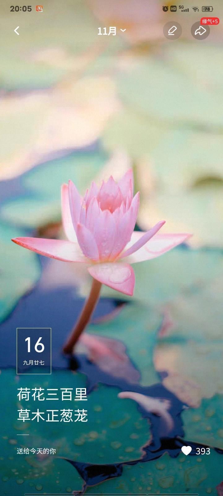 没什么可说的[灵光一闪]