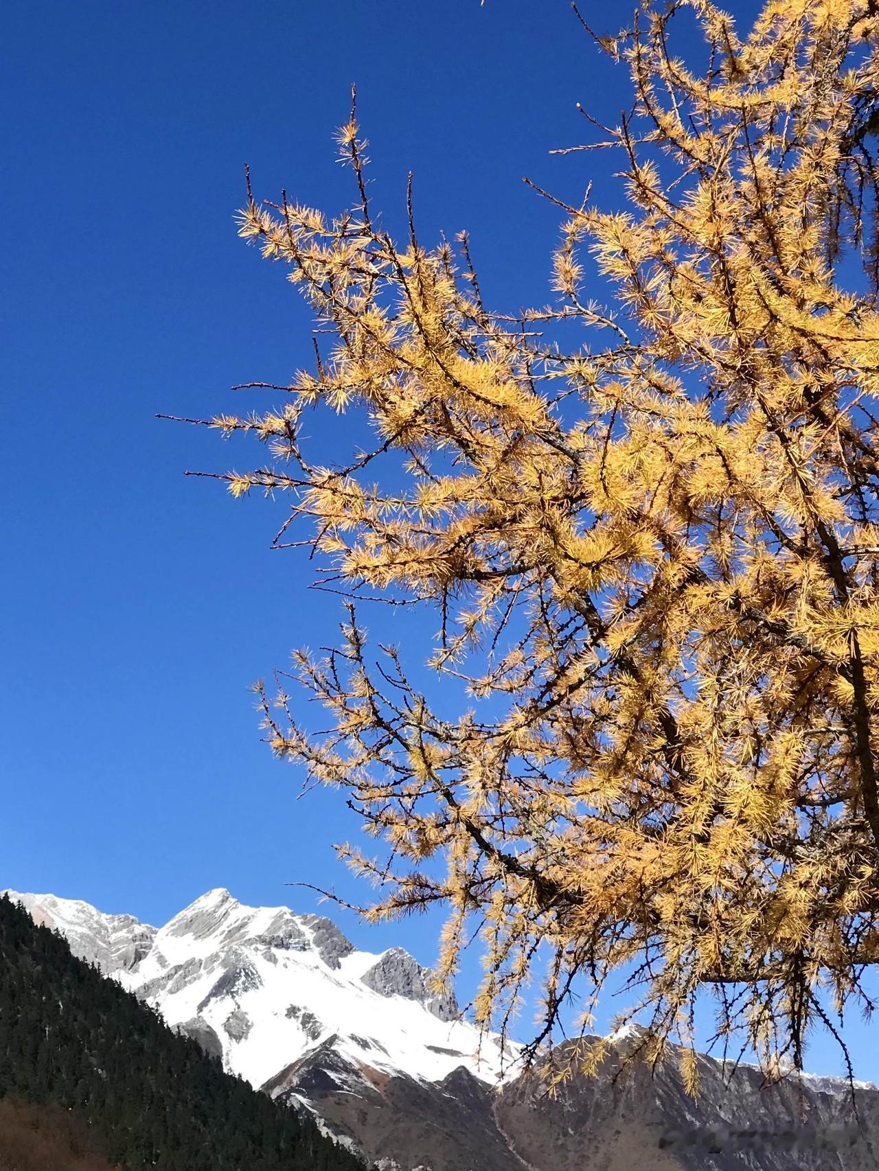 这一篇专门写写“黄龙”的美景。

黄龙，位于四川松潘县，是世界自然遗产，以彩池、