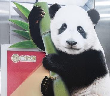 长隆把动物园搬进了电梯长隆把动物园搬进了电梯