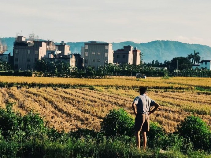 生活从来没有奇迹，每个人都在一边崩溃，一边自愈。——路遥 