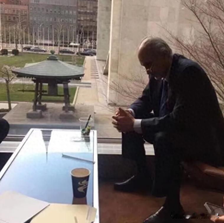 第一张图片中的这个男人名叫贾法里，他是叙利亚的一名外交官。
2018年的时候，这