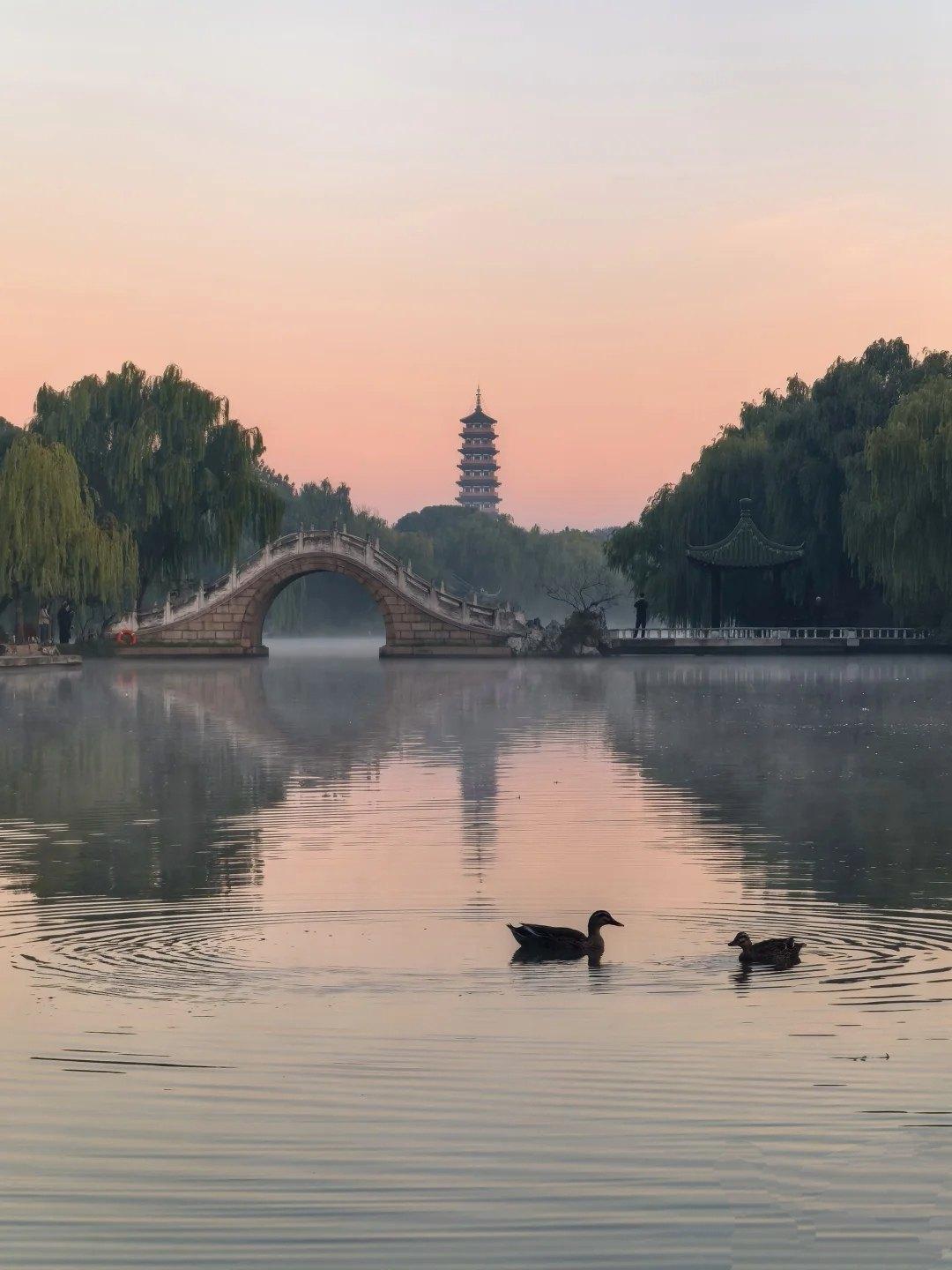 有人问我，你怎么看待间谍这件事情？我觉得中国软骨头的人不少，还有一些就是为了利益