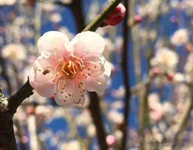 《早春晴朗》被骂悬浮，其实一点都不冤