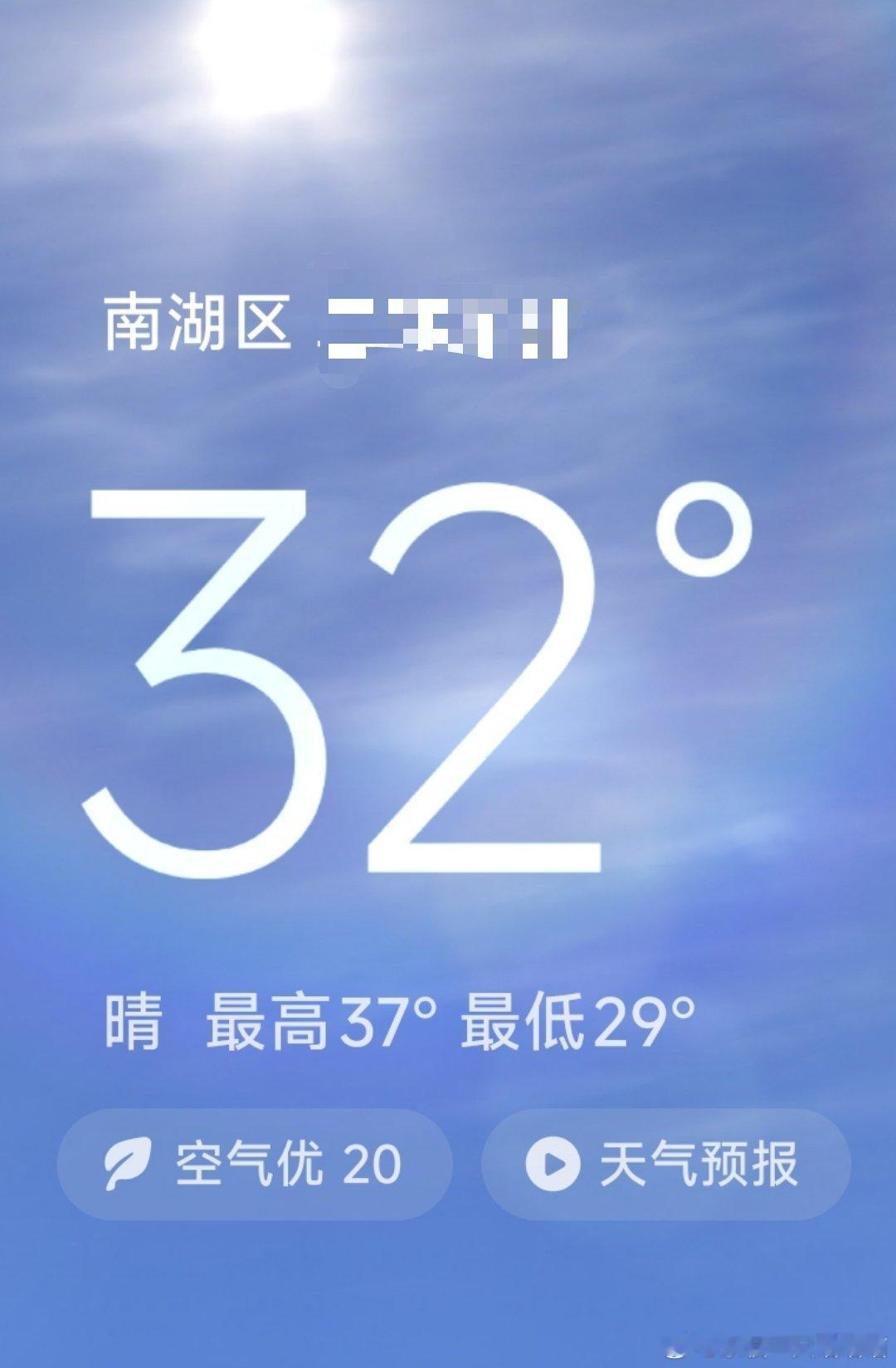 早上好，已经热成汪汪