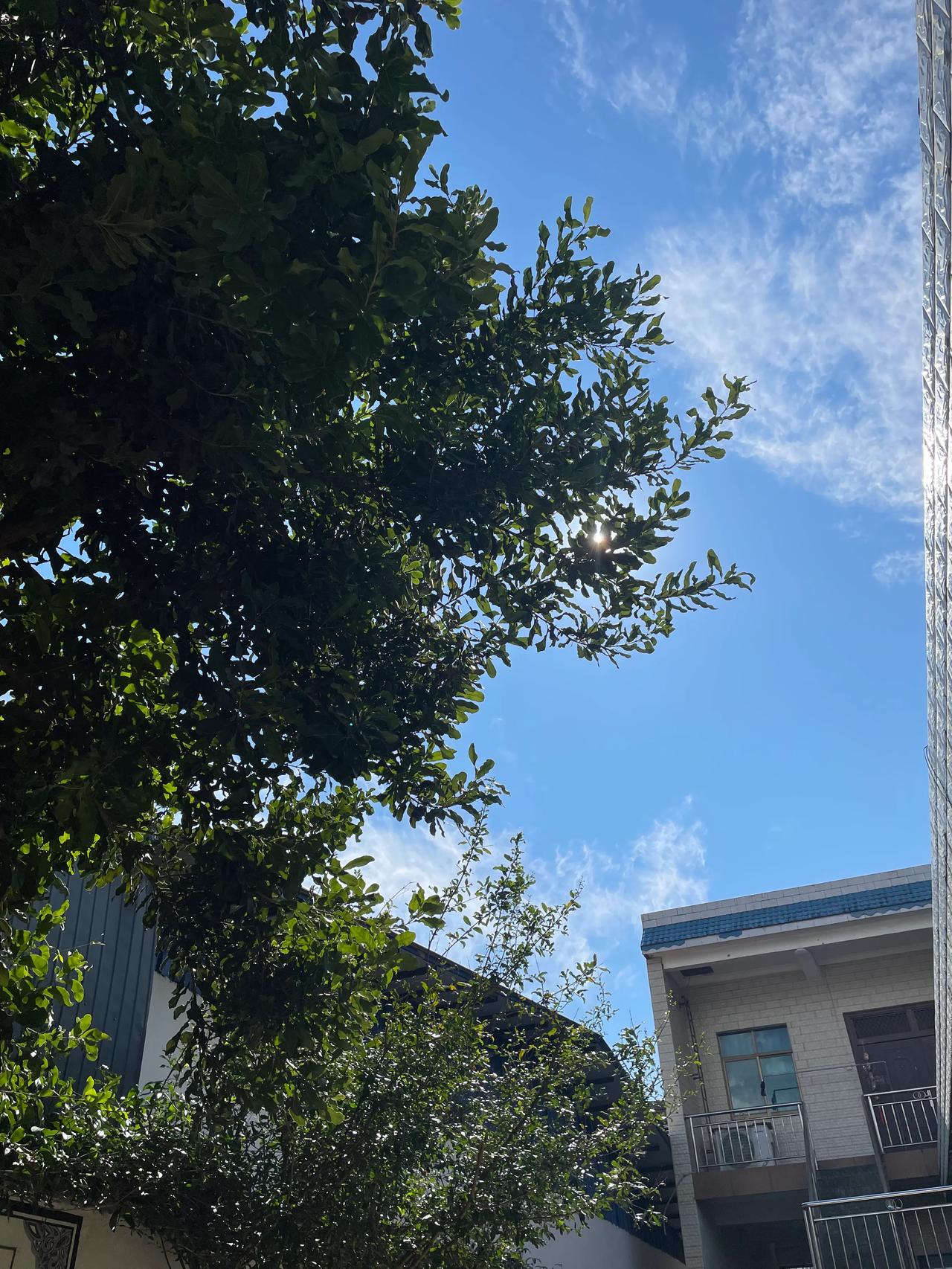 蓝天白云下的休闲时光