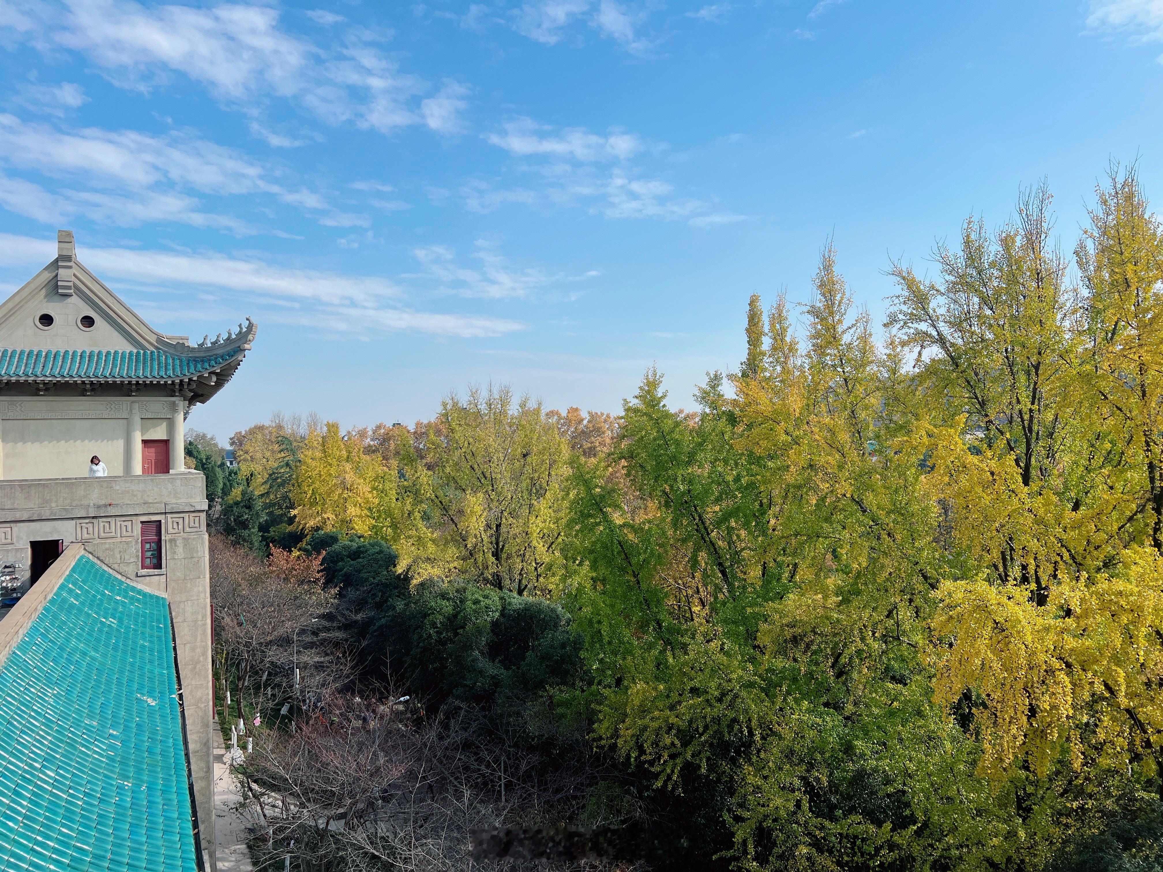 ☕️走到哪里都要喝一杯。小朋友长大了，现在带他出门，行程里总会有当地的985和2