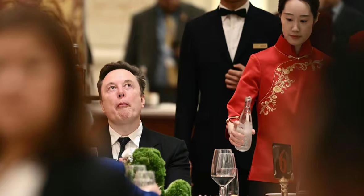 马斯克算是开眼了
且先不说餐桌和大厅的布置美轮美奂
让他目不暇接，就连他旁边的服
