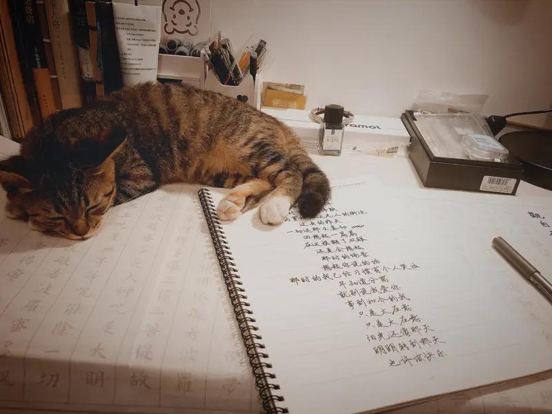 上联：一窗风月无人共
下联：半卷诗书只影孤。