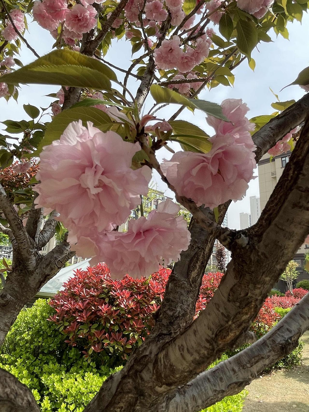 越来越觉得心里强大才是生存的法则，只有心里足够强大才能百毒不侵，更容易成功！
