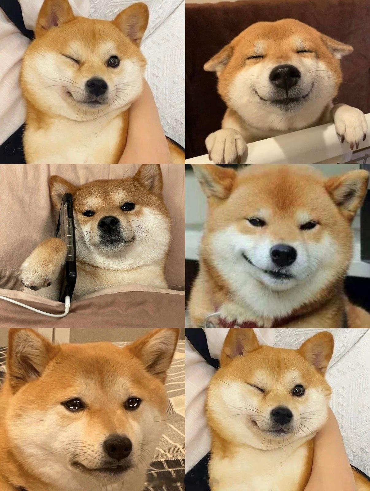 网红周媛实名主账号被封所以这种课的受众到底是谁？身体形成X+鬼迷日眼我的互联网好