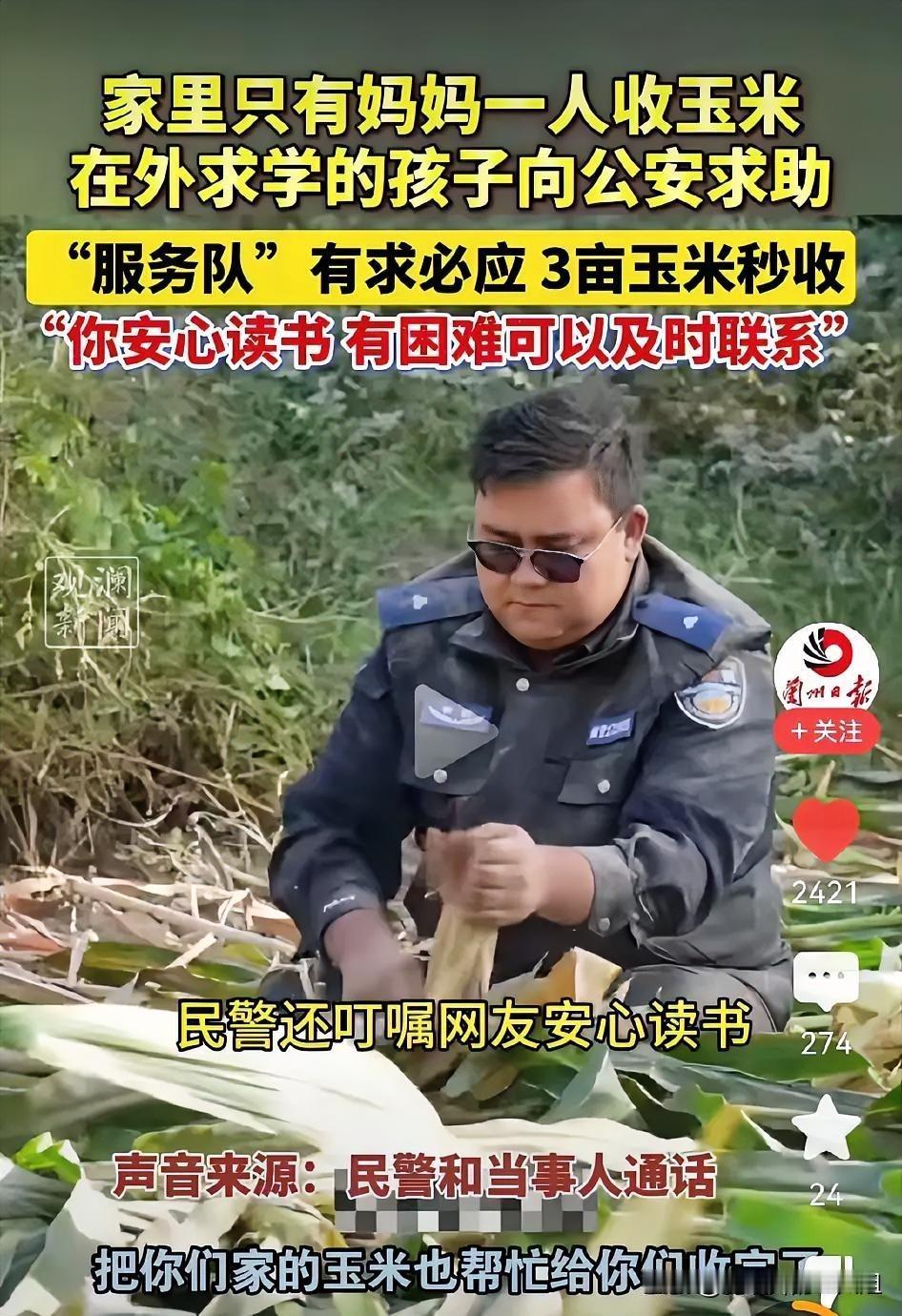 新疆一名在外求学的大学生给当地的民警留言，说家里的三亩玉米没人收，只有老妈一个人