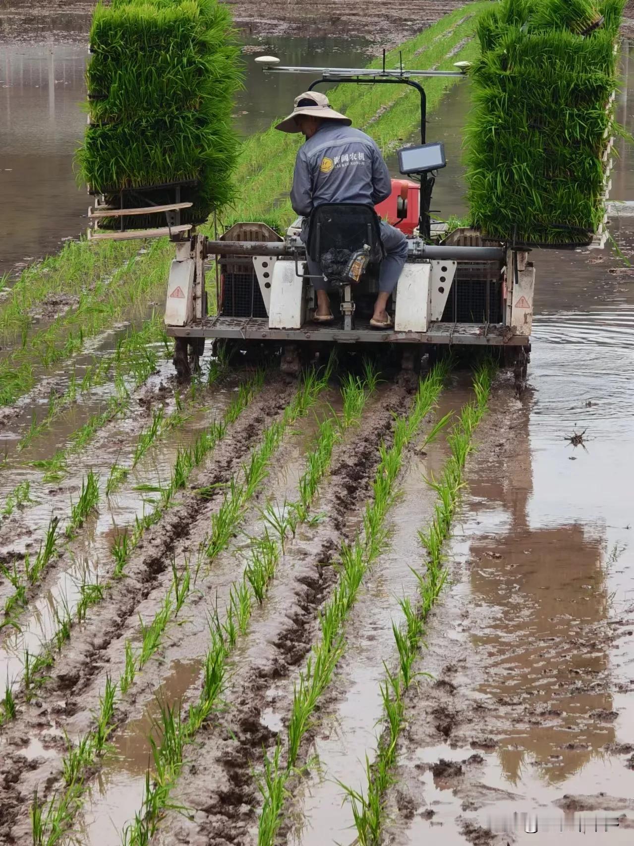 《端午节雨水：传说中的神秘之水》

一、屈原投江与端午雨水的联系

1. 上天的