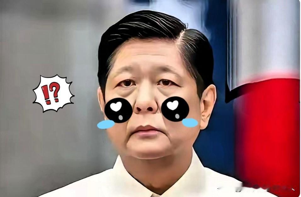 最新消息！
菲律宾对外宣布！
11月11日减灾管理委员会最新消，一个星期前，台风