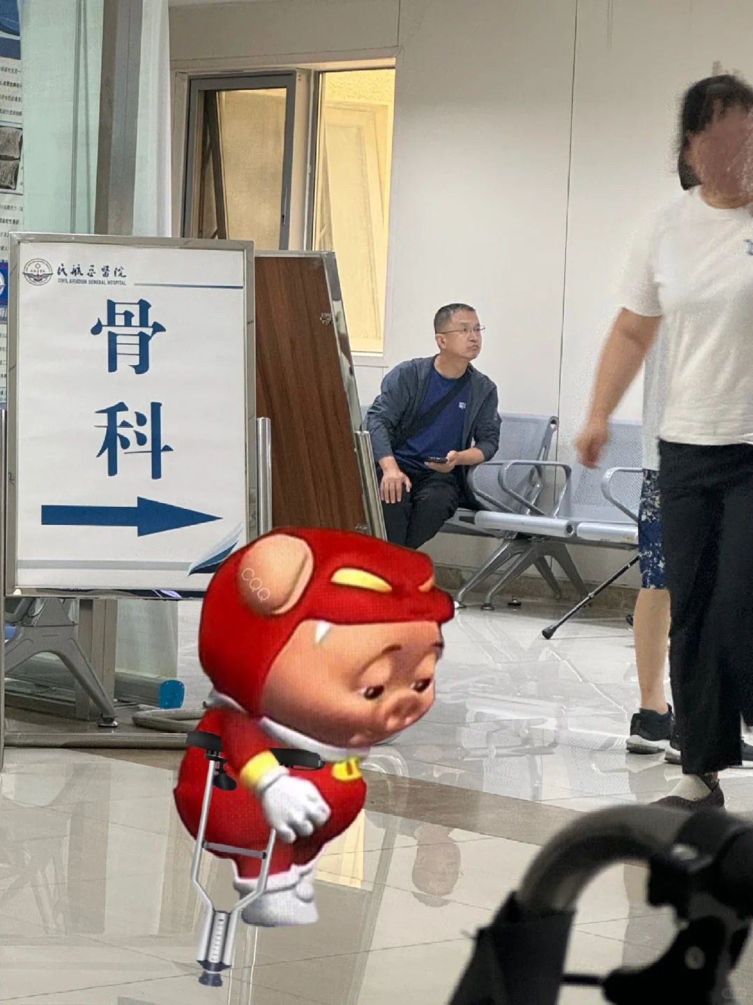 小猪拄拐，治疗猪肘