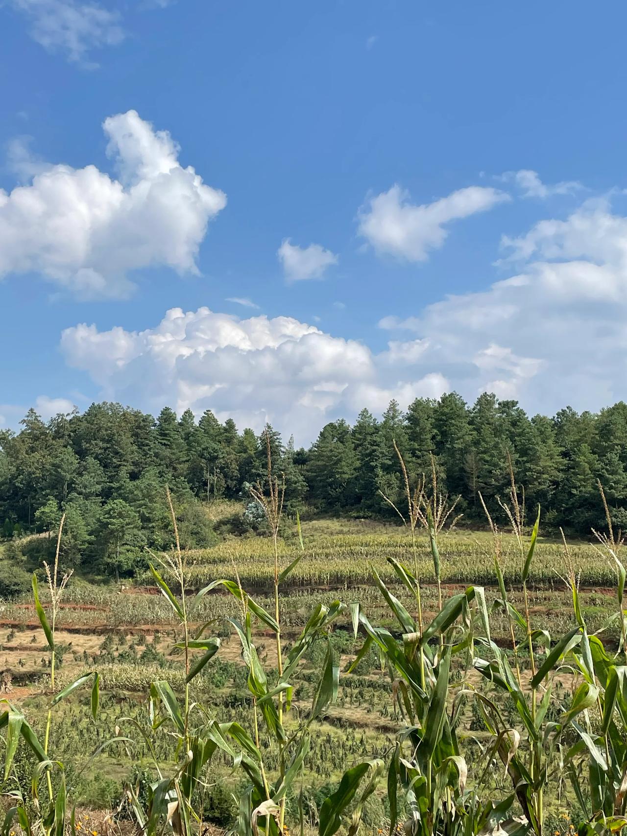 #分享一张自然风景的照片，#