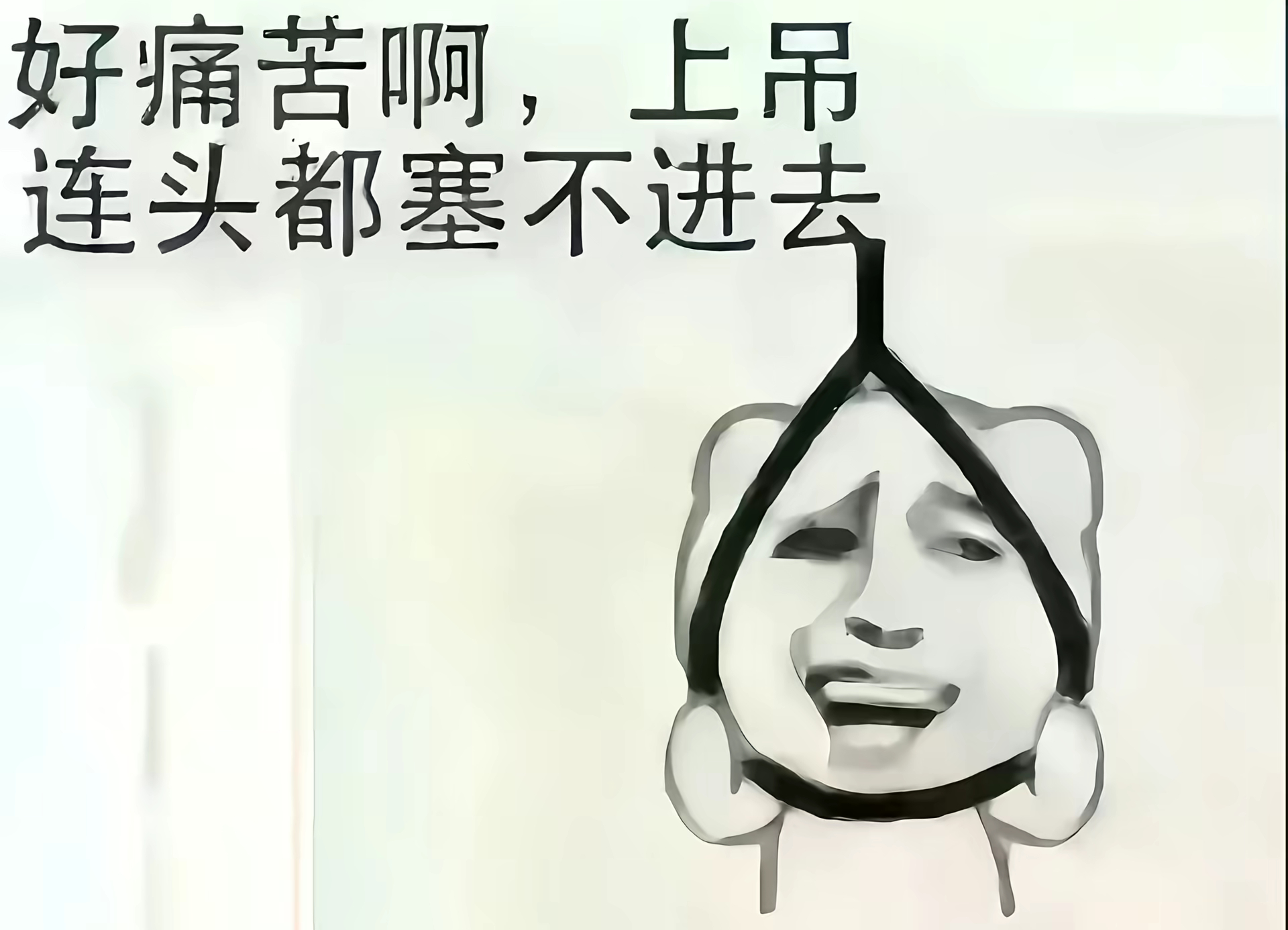 兄弟们 一波啦 ​​​