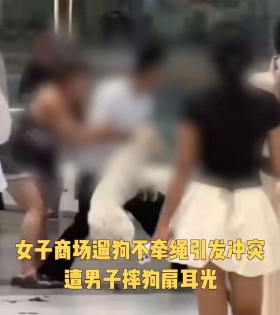 不牵绳还嘴硬挨了打，有些教训就该这么给！

7月17号，长沙万达广场。一只白色小