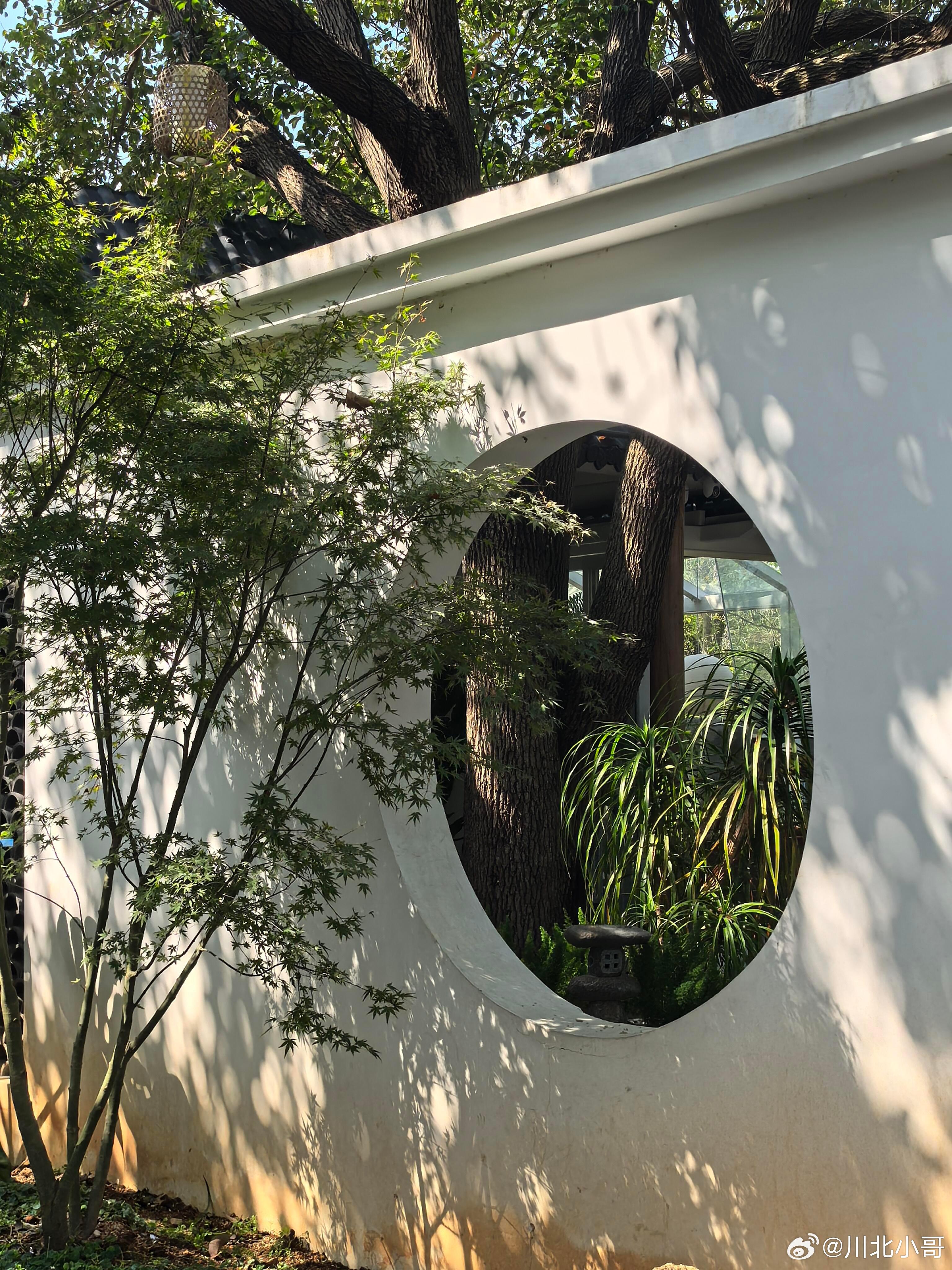 藏在市区里的治愈小院，环境太雅了。我有我的春天