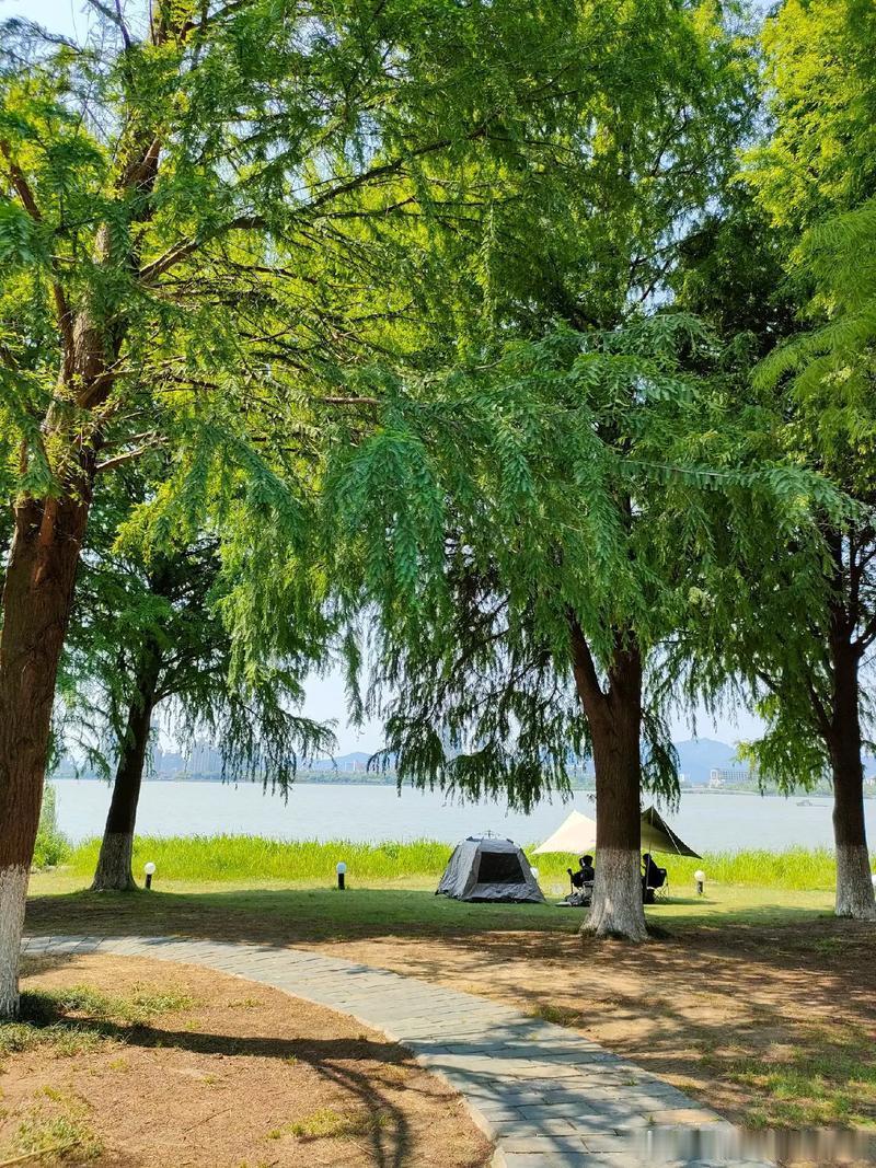 日子泛着软乎乎的光🌞请把每一寸光阴都收好~~~记录生活