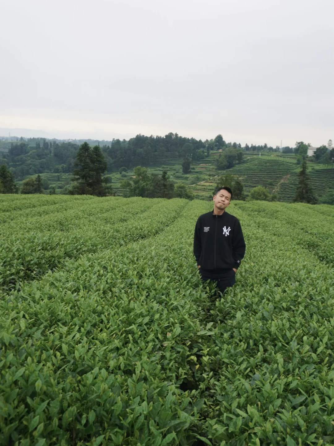 成都周边一小时，喝去茶山不如直接去茶山喝