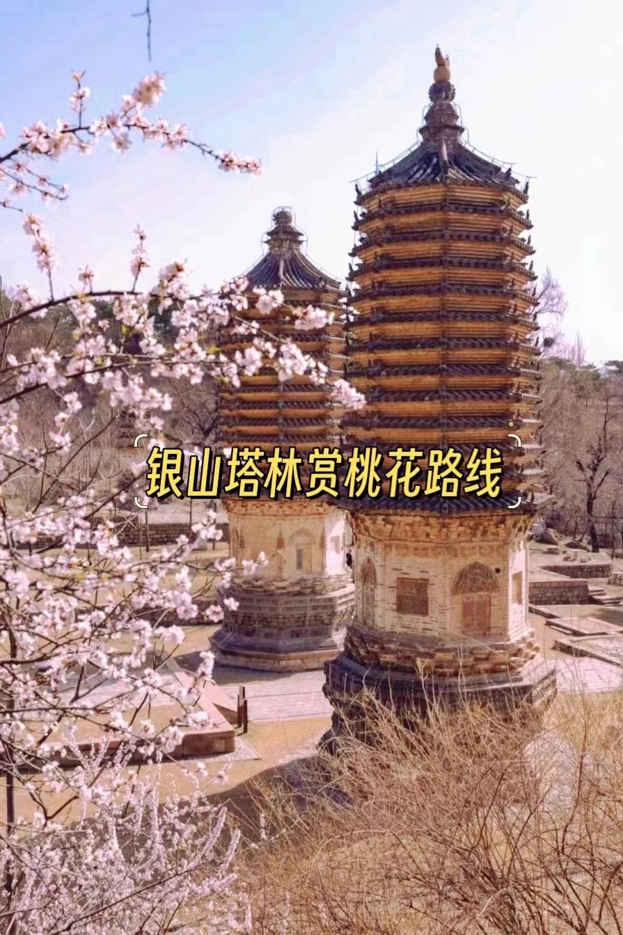 不要错过盛开的桃花，银山塔林
