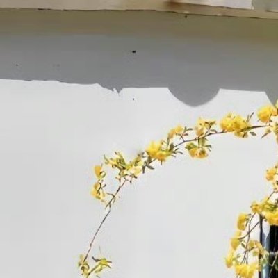 阳光信用 🌿阳光信用 🌿每日一善 试错勋章跌倒处的深坑终会成为蓄力的盆地，走