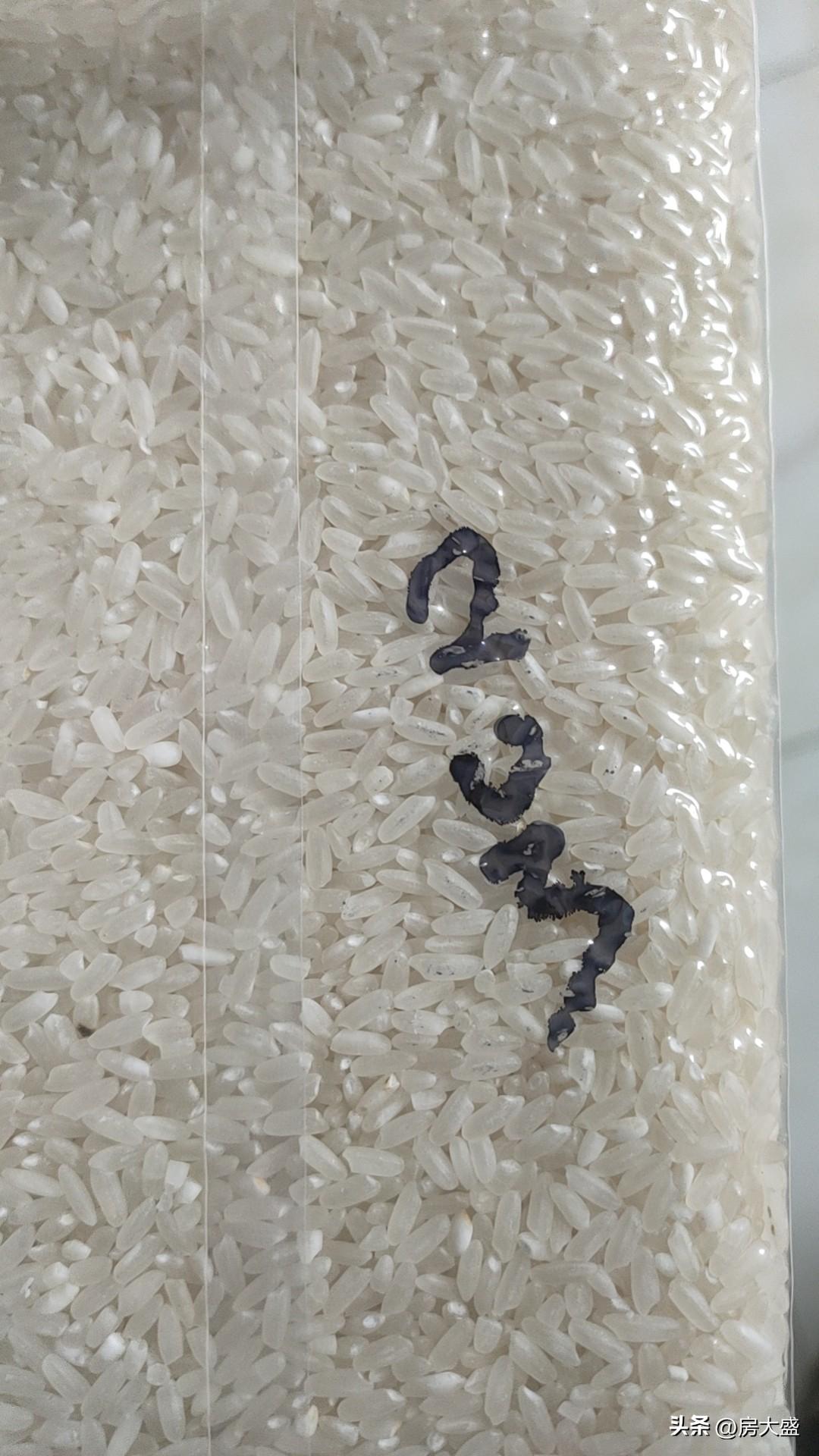 如果不缺钱，我大概率还会“工作”，不过此“工作”非彼工作。
我不会再被生存焦虑裹