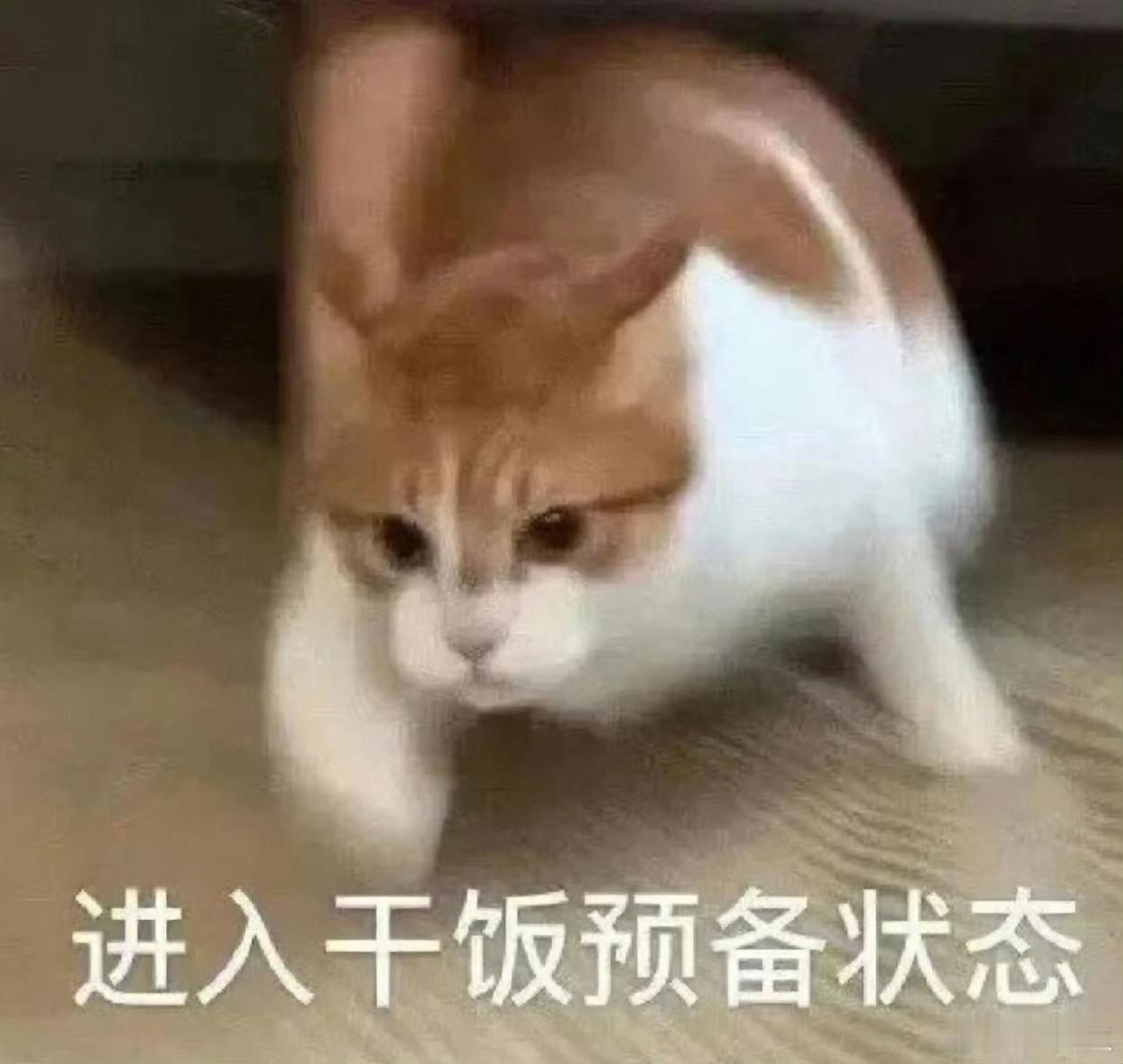 干饭，你晚上吃啥？