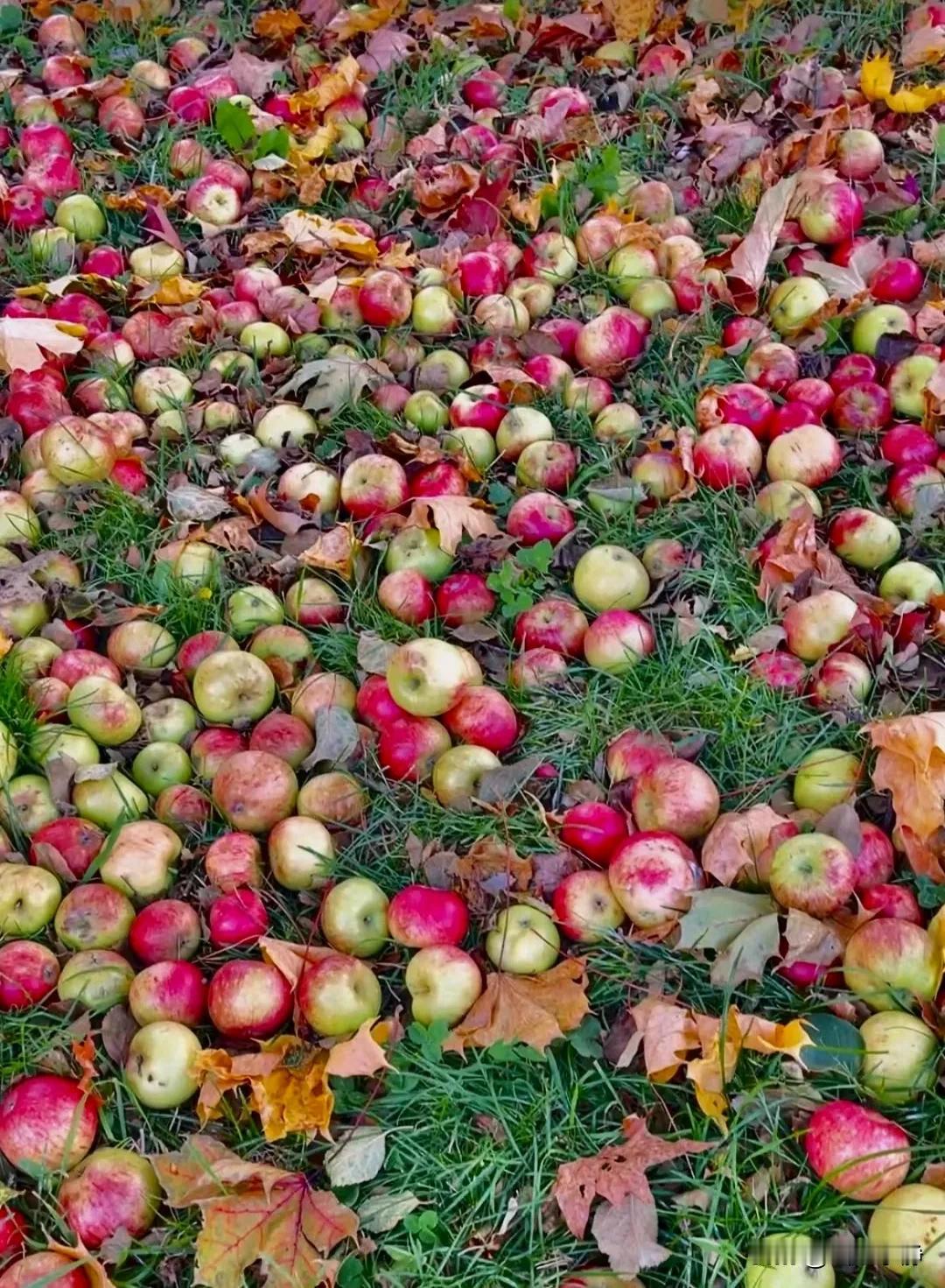 度量，不仅是作为君子的标准之一，更是为人处世的重要基石，有大度量者，方能有大格局