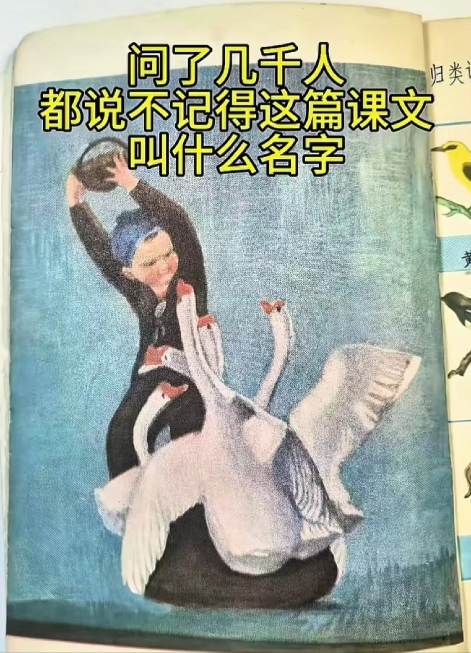 问问亲爱的70后80后的你们，
图画上的画面是小学语文哪一篇课文？