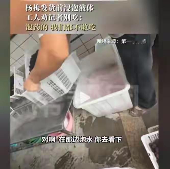 福建漳州的杨梅泡药事件现在已经开始反噬了，经销商都卖不出去。
其实这个看出我们国