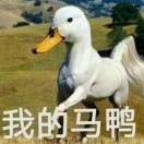 小马尾侃侃娱乐