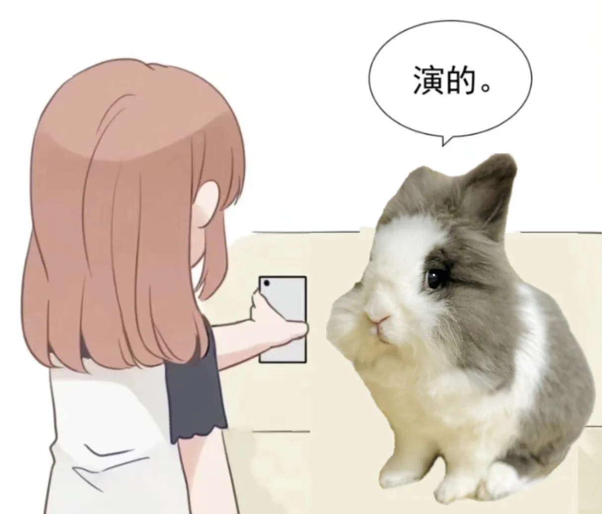 你看，别的兔好多赞