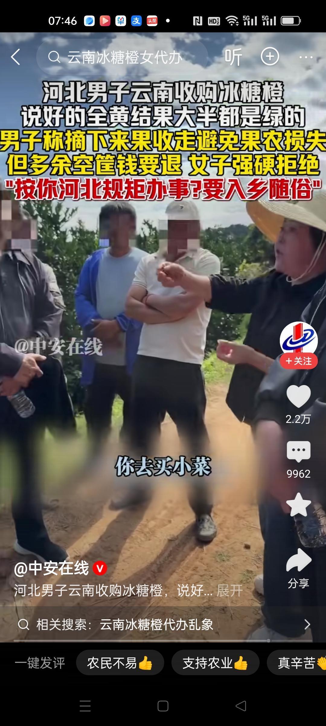 男子找代办大姐收购云南冰糖橙，谁知道说好要黄的，结果收了一大半青的。
还好心说黄